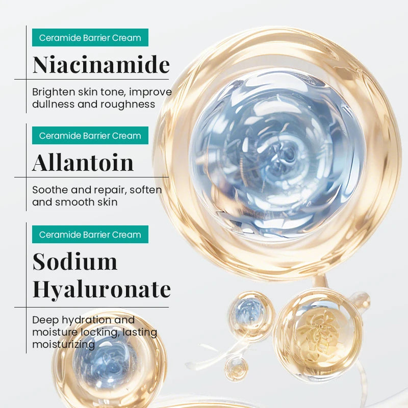 Ceramide Moisturizing Face Cream Skin Barrier Smoothing Firming Deep Nourishing Face Body  Beauty Skin Care Korean Cosmetics